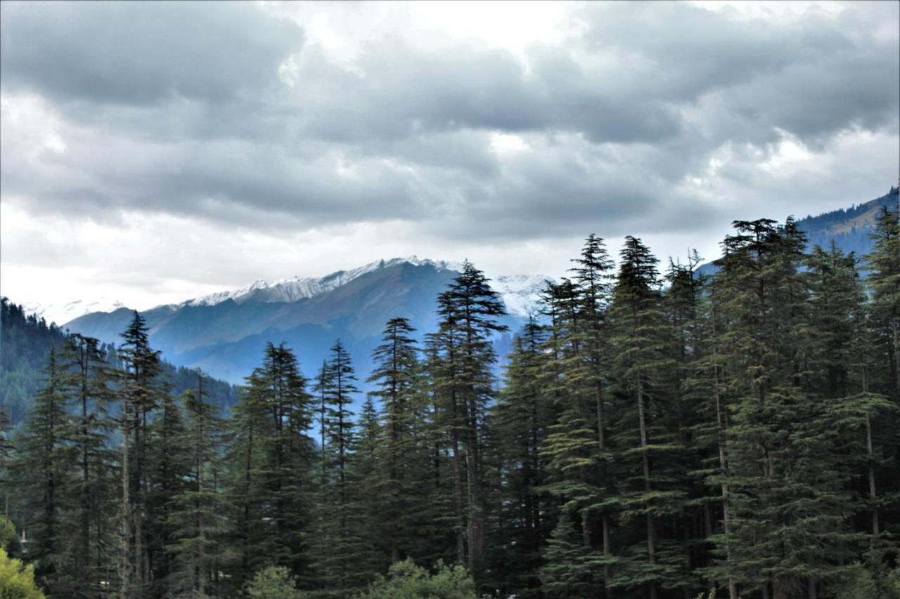Nirvana Hills Манали Экстерьер фото
